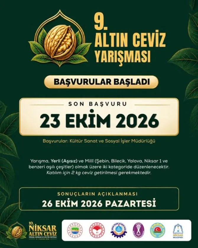 Niksar altın cevizini arıyor
