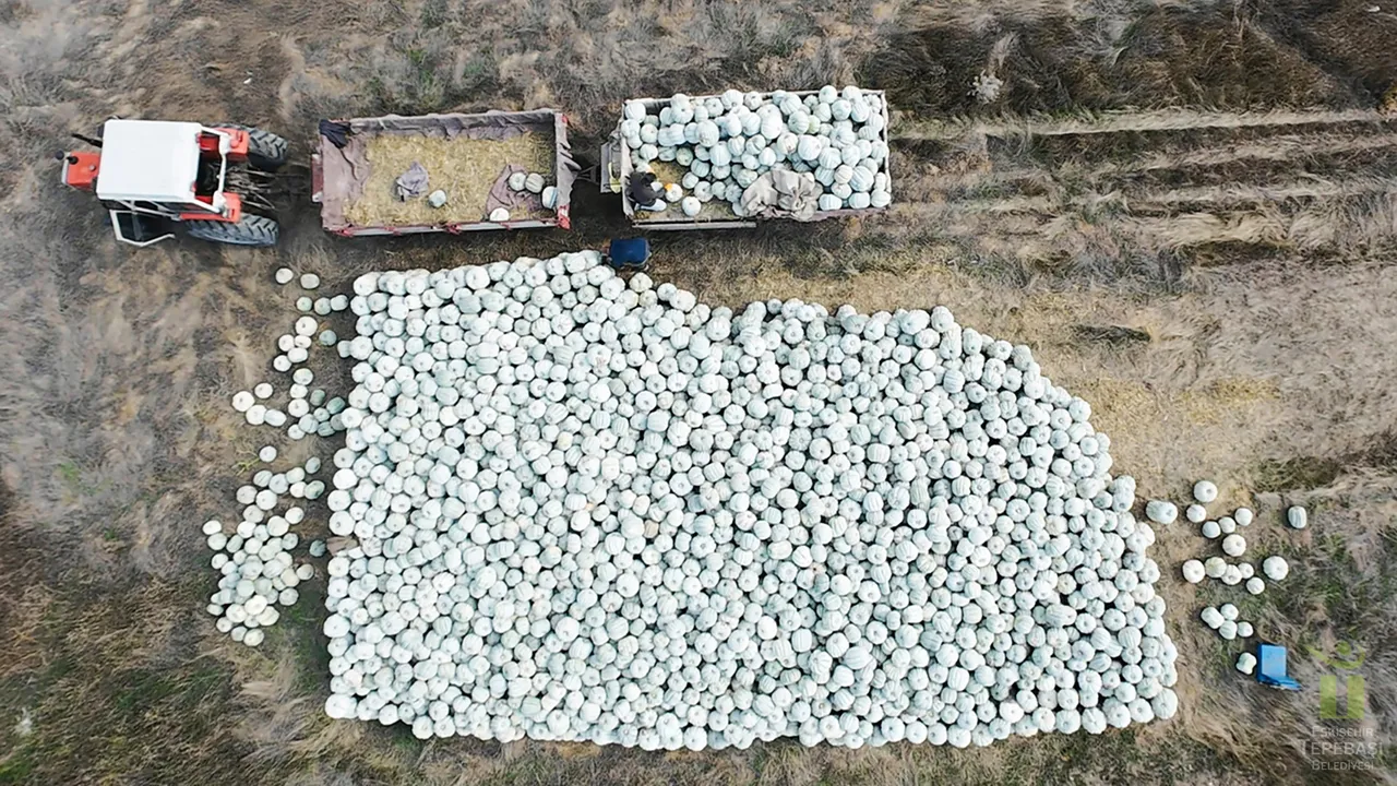 Bal Kabağında Türkiye’nin ilk çalıştayı Tepebaşı’nda