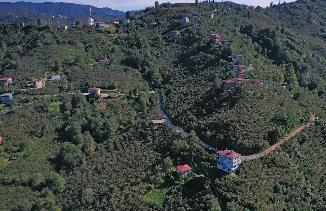 Çamaş Budak Mahallesi’ne beton yol