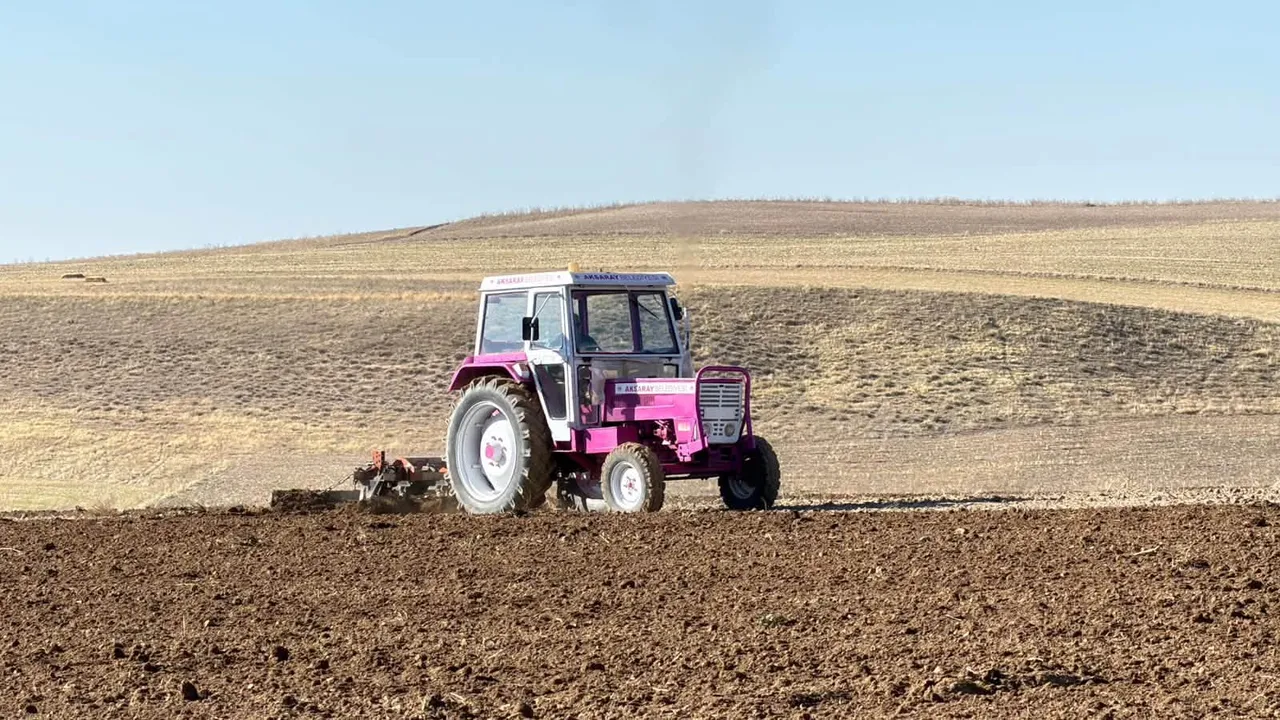 Belediyeye ait 500 dönüm arazide arpa ve buğday ekimi başladı
