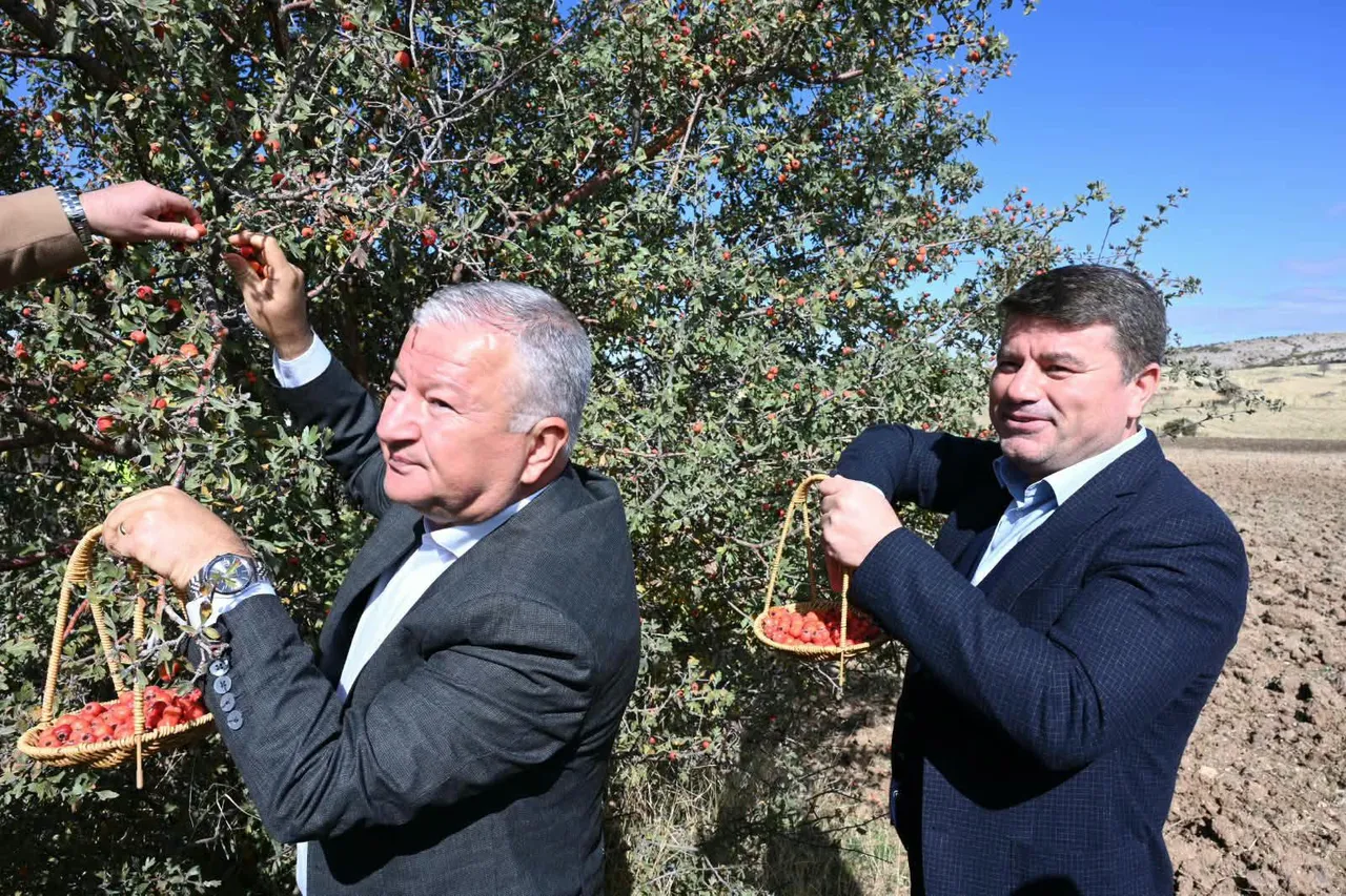 3. Akyamaç Alıç Festivali coşkuyla kutlandı