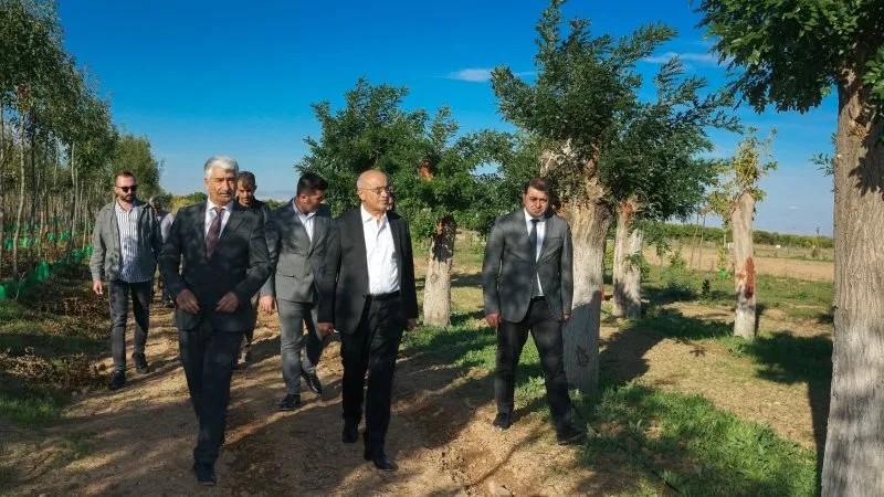 Büyükşehir’den yıllık 20 bin Fidan 50 bin metrekare rulo çim üretimi
