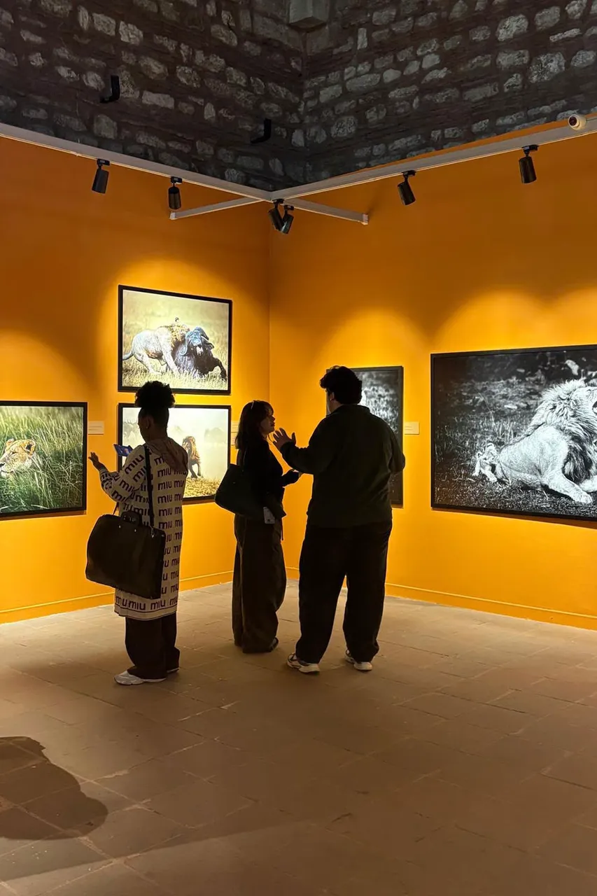 Görsel iletişim tasarımı ve dijital oyun tasarımı öğrencileri, 212 Photography Istanbul sergisini ziyaret etti