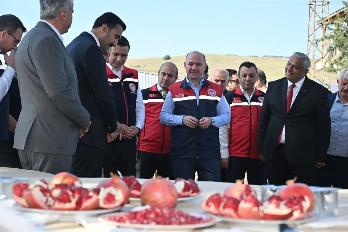 Vali Serdengeçti, Cevdetiye beldede düzenlenen nar hasadı programına katıldı
