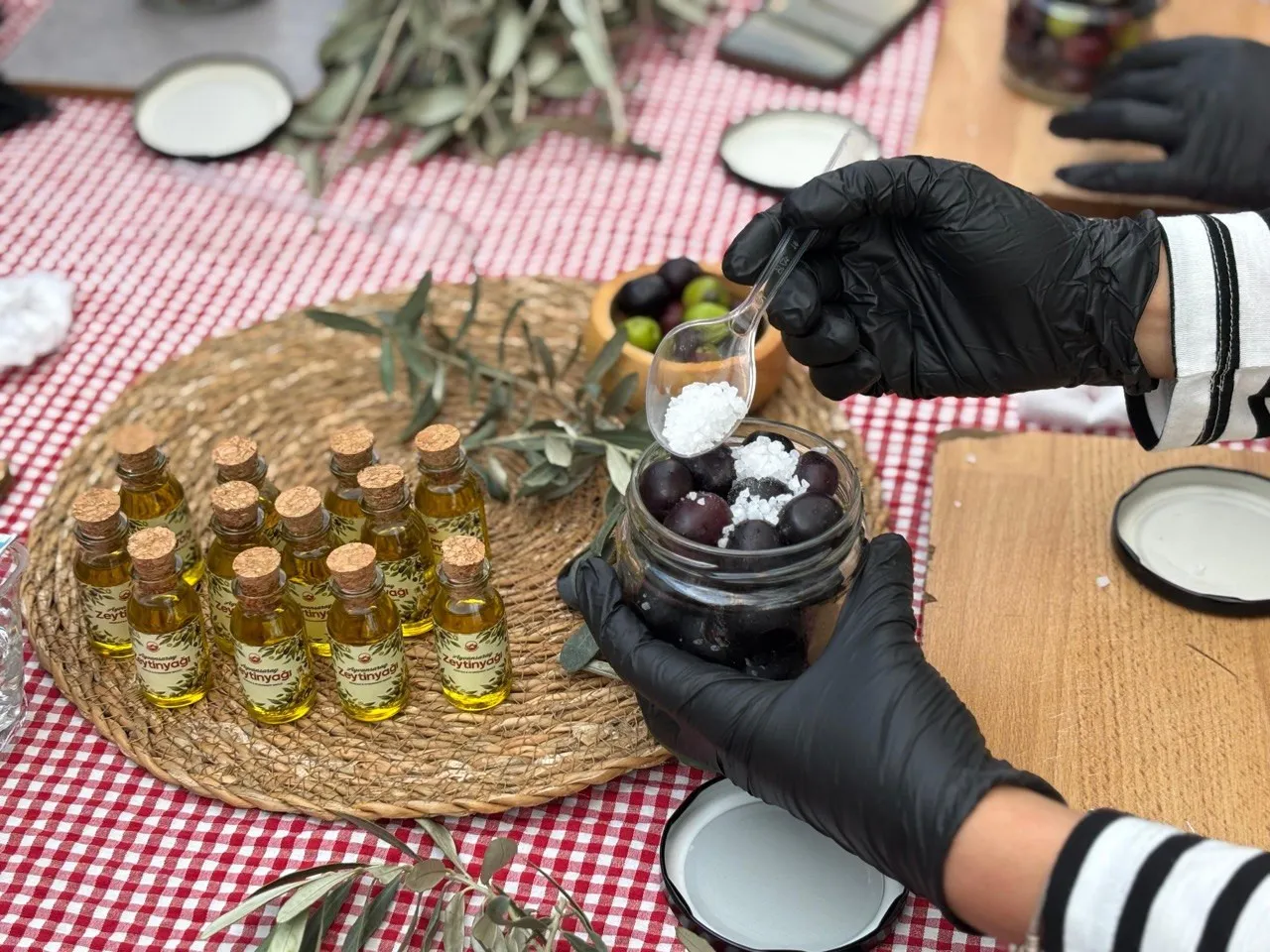 Vatandaşlar, Ayvansaray Bahçe'deki zeytin hasadı ile salamura etkinliğinde buluşuyor