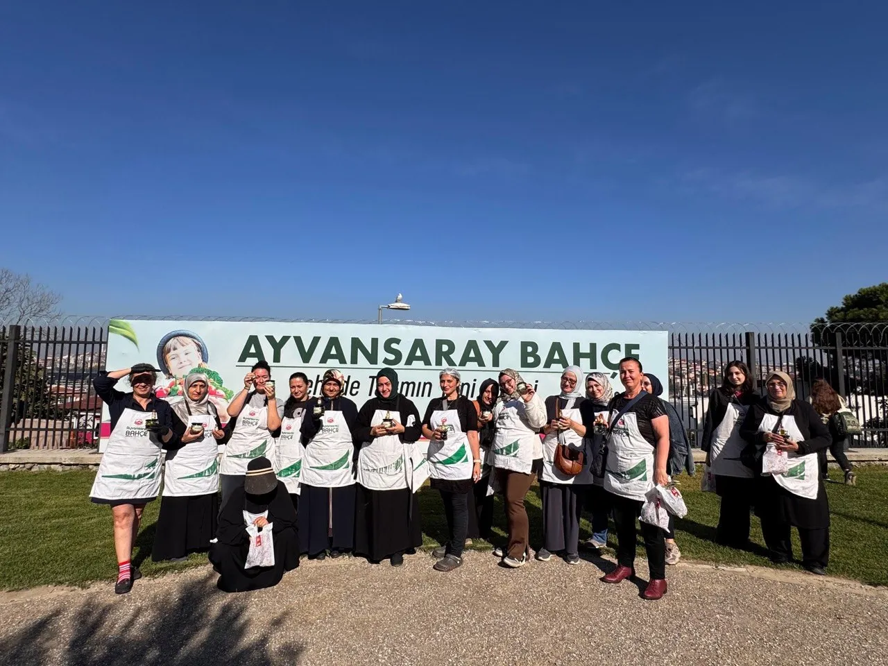 Vatandaşlar, Ayvansaray Bahçe'deki zeytin hasadı ile salamura etkinliğinde buluşuyor