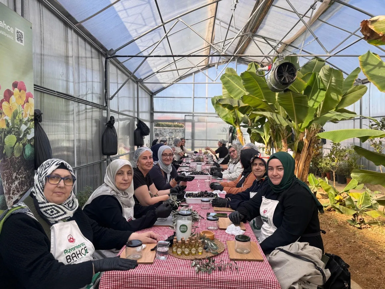 Vatandaşlar, Ayvansaray Bahçe'deki zeytin hasadı ile salamura etkinliğinde buluşuyor