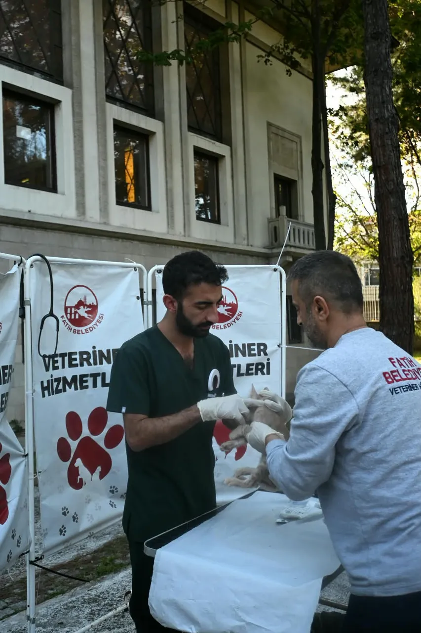 Fatih Belediyesi'nden İstanbul Üniversitesi kampüsündeki can dostlarına yerinde sağlık ve bakım hizmeti