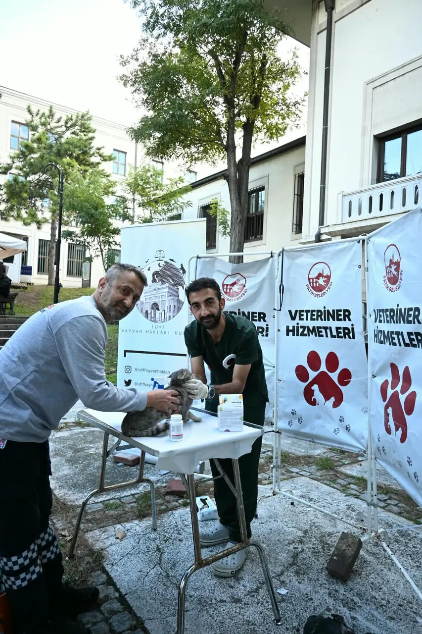 Fatih Belediyesi'nden İstanbul Üniversitesi kampüsündeki can dostlarına yerinde sağlık ve bakım hizmeti
