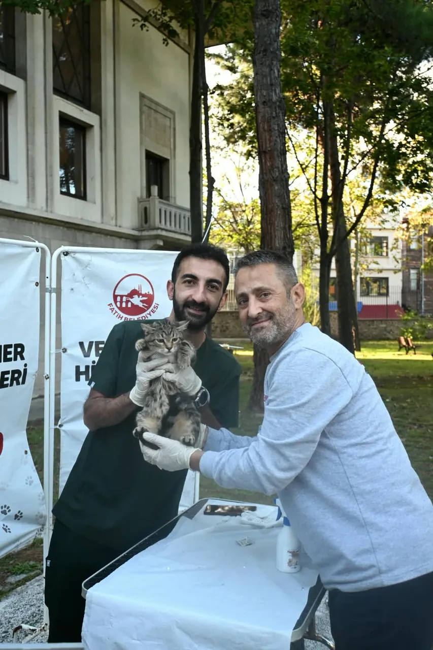 Fatih Belediyesi'nden İstanbul Üniversitesi kampüsündeki can dostlarına yerinde sağlık ve bakım hizmeti