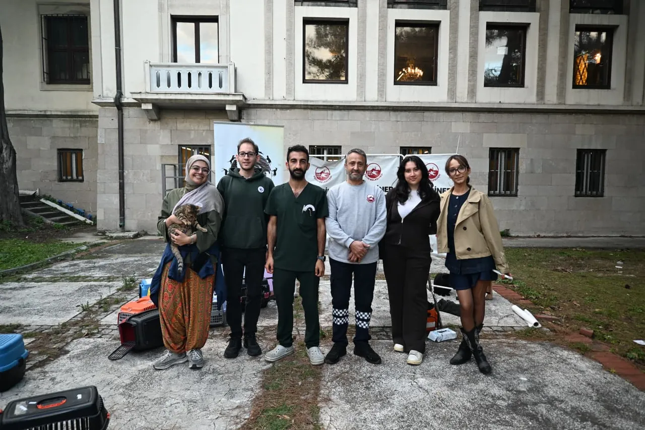 Fatih Belediyesi'nden İstanbul Üniversitesi kampüsündeki can dostlarına yerinde sağlık ve bakım hizmeti