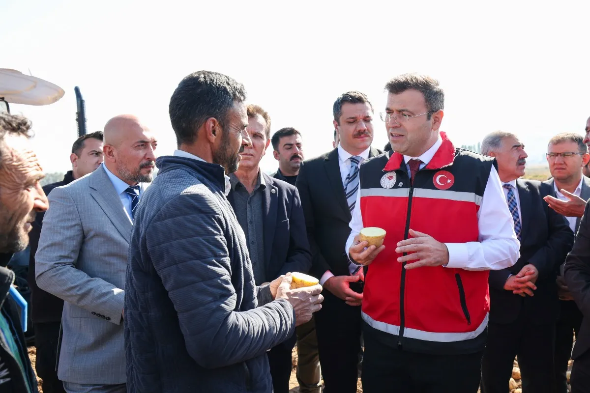 Niğde Valisi Nedim Akmeşe Çiftlik ilçesinde yerli ve Milli patates hasadına katıldı