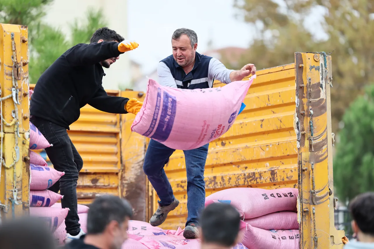 Çanta Mahallesi’ndeki üreticilere ücretsiz buğday tohumu desteği gerçekleşti