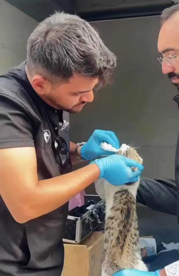 Sincan’da sahipsiz hayvanlar için seferberlik: Ekipler sahipsiz hayvan müdahale aracı “Haybulans” ile sahada