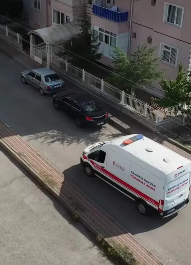 Sincan’da sahipsiz hayvanlar için seferberlik: Ekipler sahipsiz hayvan müdahale aracı “Haybulans” ile sahada