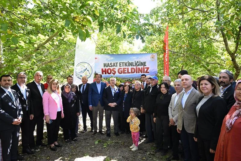 Çameli’de Ceviz Hasat Şenliği bereketi