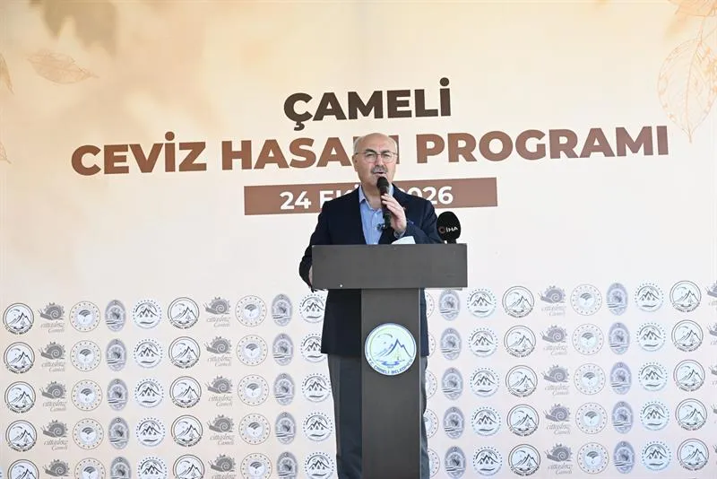 Çameli’de Ceviz Hasat Şenliği bereketi