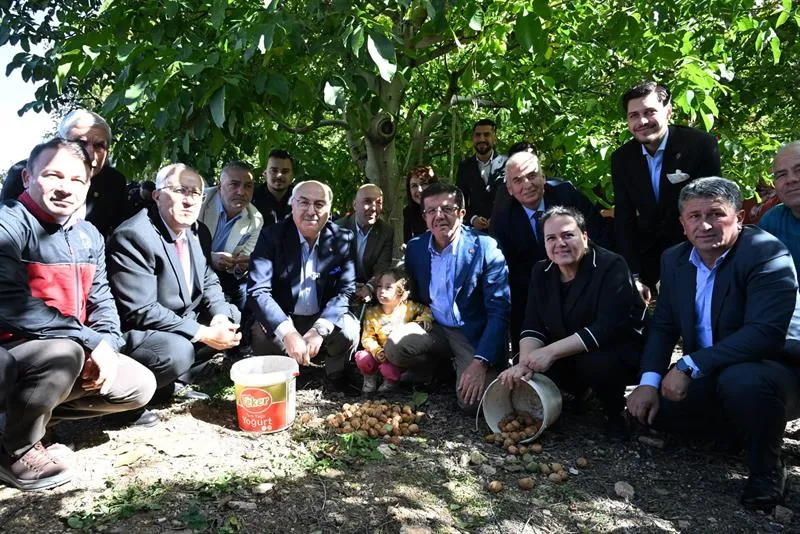 Çameli’de Ceviz Hasat Şenliği bereketi