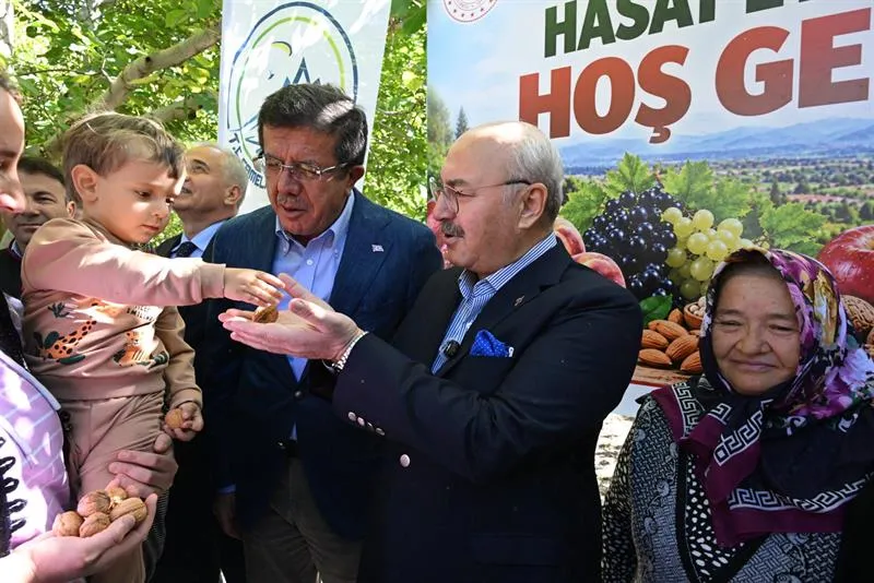 Çameli’de Ceviz Hasat Şenliği bereketi
