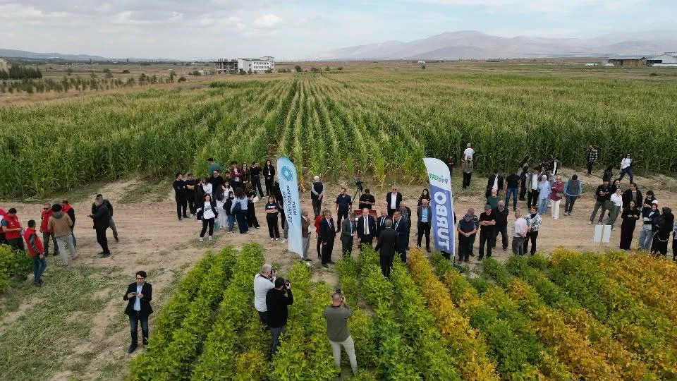 NÖHÜ’de silajlık soya Fasulyesi denemeleri