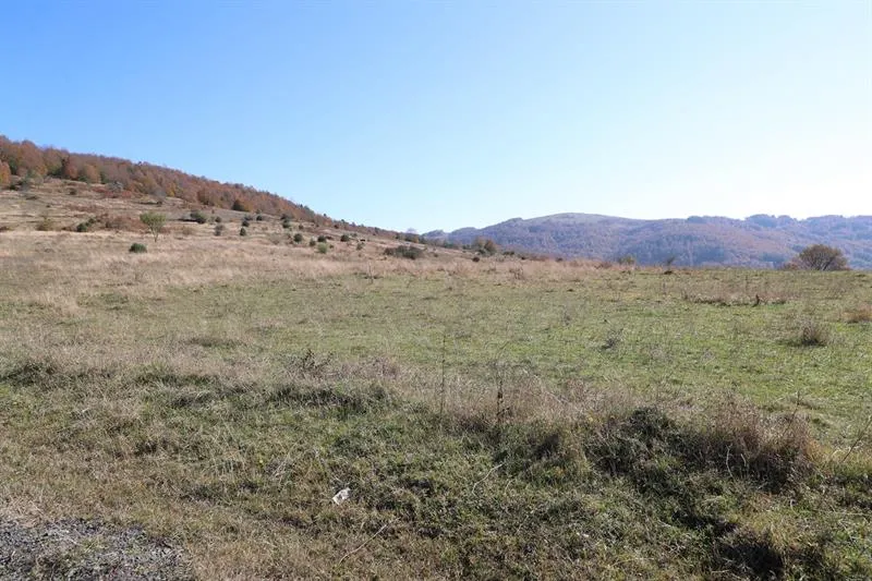 Vali Erol, Akkuş ilçesinde kurulması planlanan OSB alanında incelemede bulundu