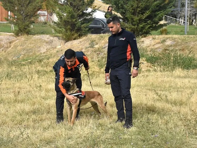 Van'da arama kurtarma köpekleri, afetlerde hayat kurtarmak için eğitiliyor