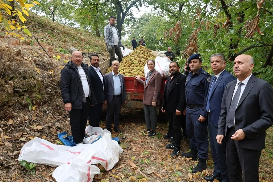 Nazilli'de kestane hasadı etkinliği düzenlendi