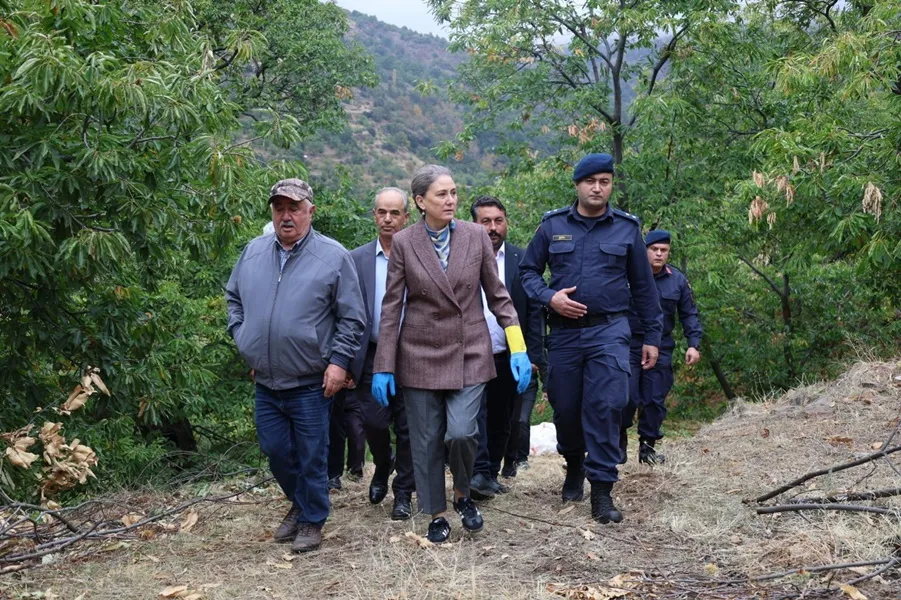 Nazilli'de kestane hasadı etkinliği düzenlendi