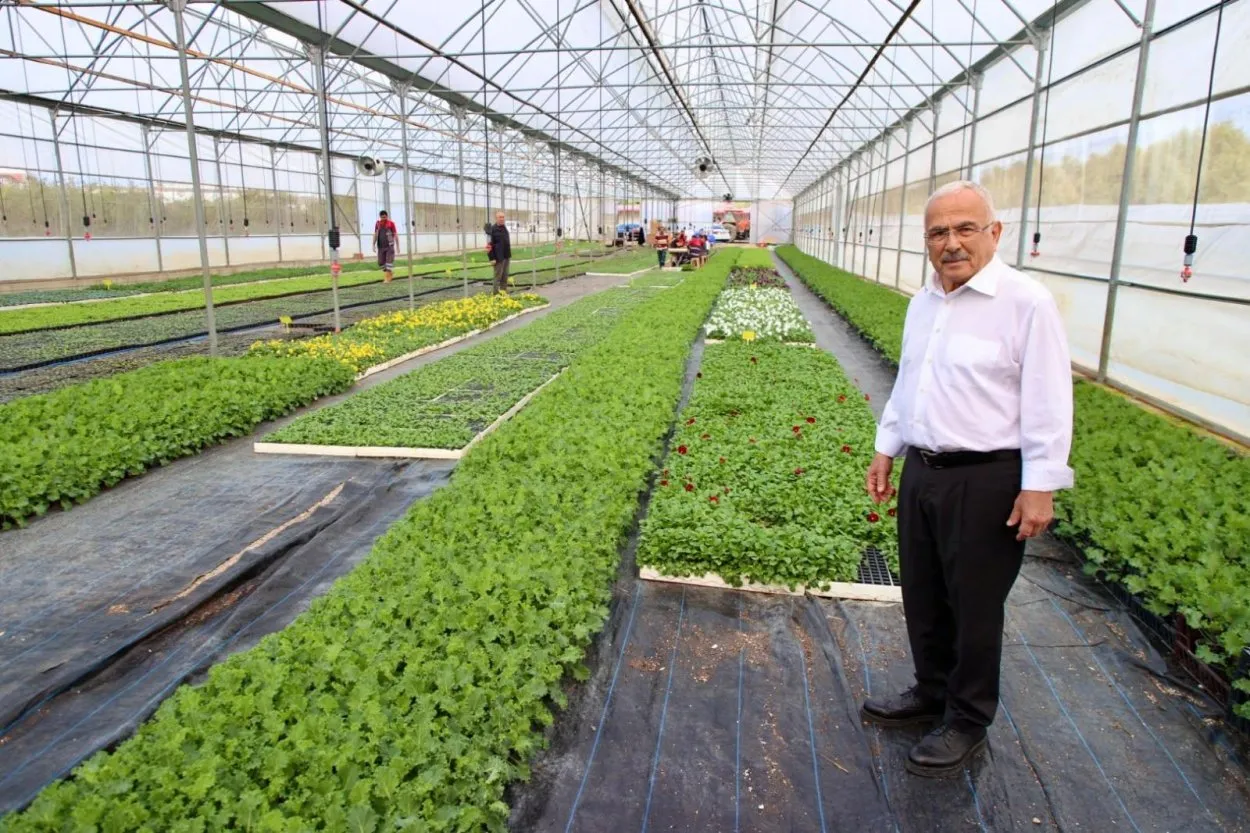 Başkan Güler: Ordu çiçek üretim kenti olabilir