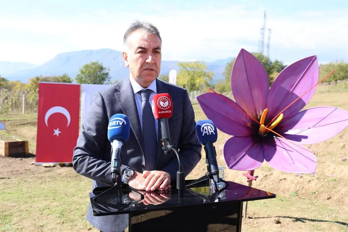 Kontrollü Koşullarda Bilimle Yeşeren Safran Projesi kapsamında safran hasadı gerçekleştirildi