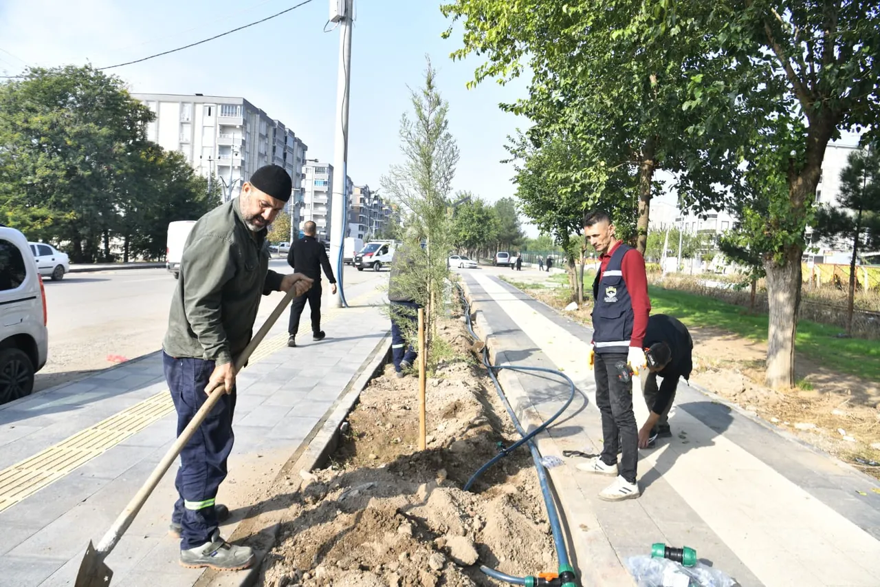 Sanayi Yürüyüş Yolu’ndaki ağaçlar için damlama sulama sistemi