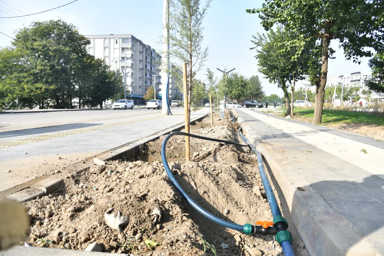 Sanayi Yürüyüş Yolu’ndaki ağaçlar için damlama sulama sistemi