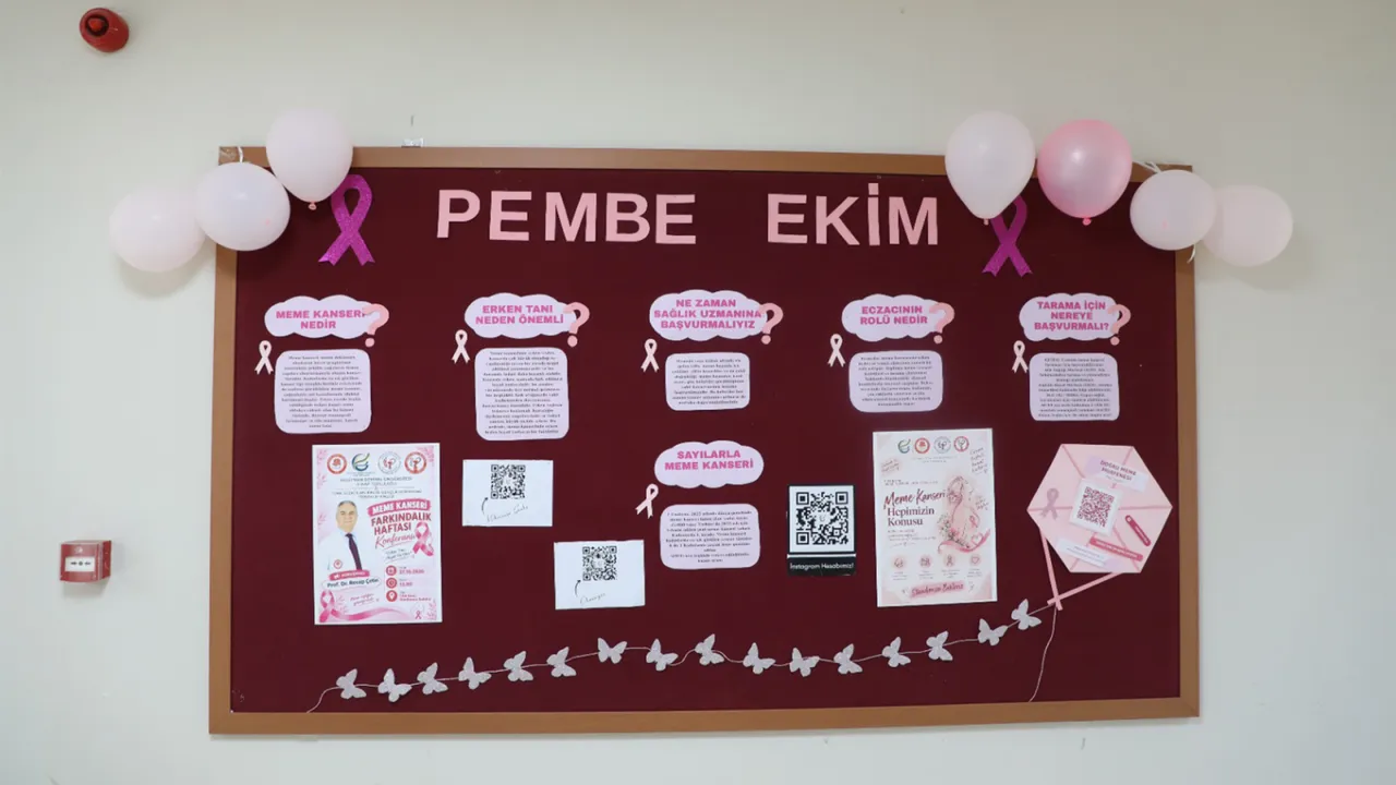 Eczacılık Fakültesinde meme kanseri farkındalık konferansı düzenlendi