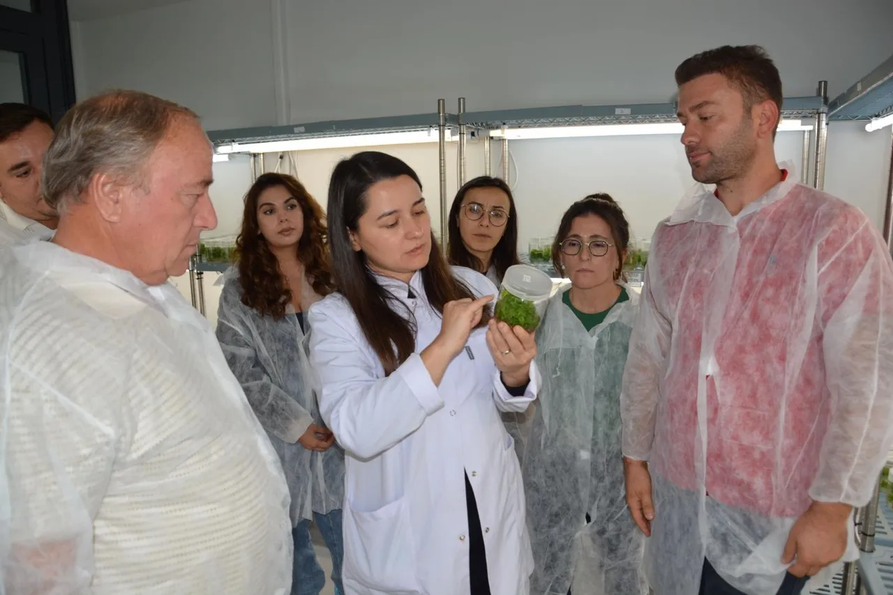 BAÇEM’in Bitki Doku Kültürü Kursu’na ülke çapında yoğun ilgi