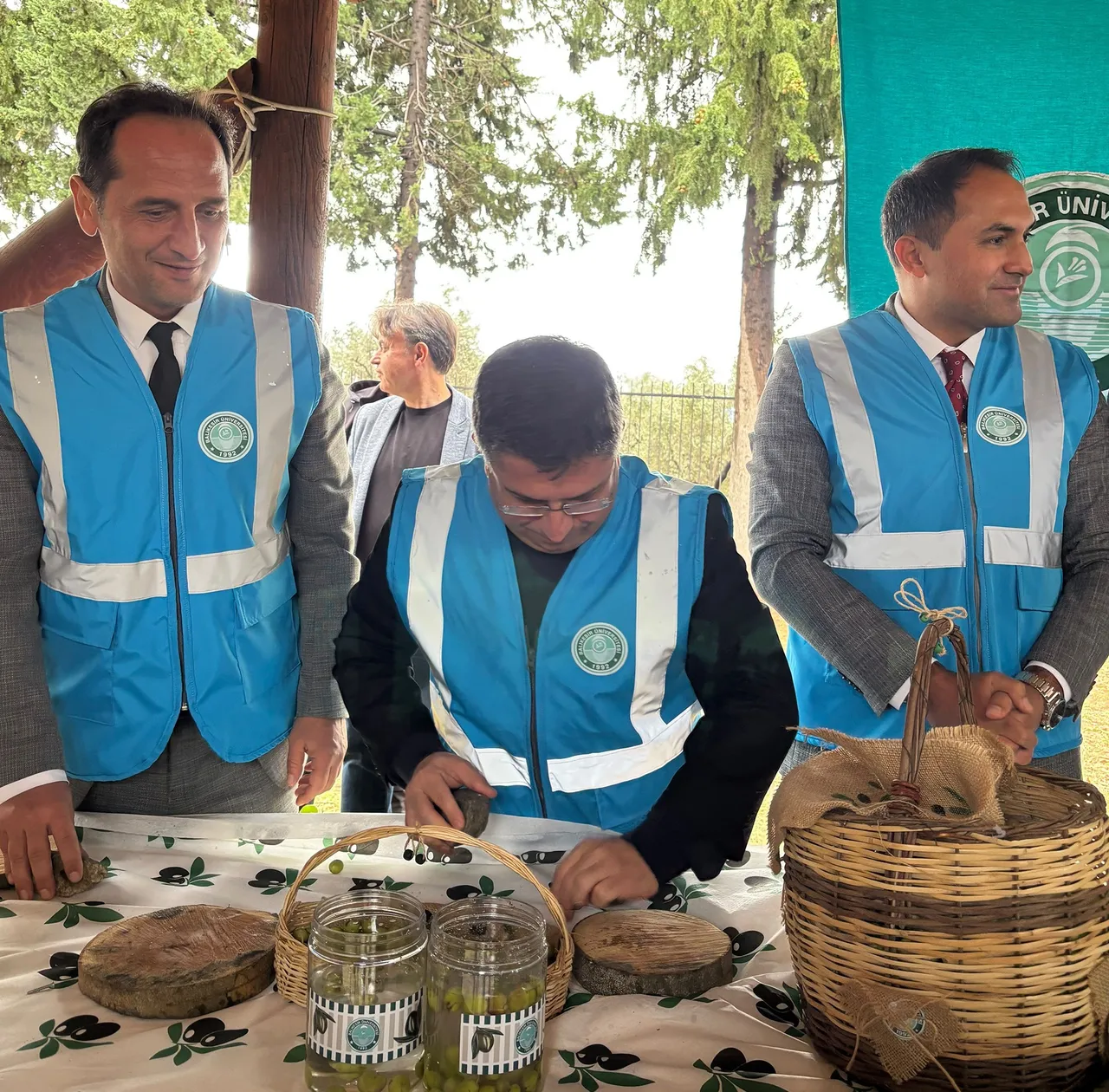 Balıkesir Üniversitesinde I. Akademik Zeytin Hasat Şenliği düzenlendi