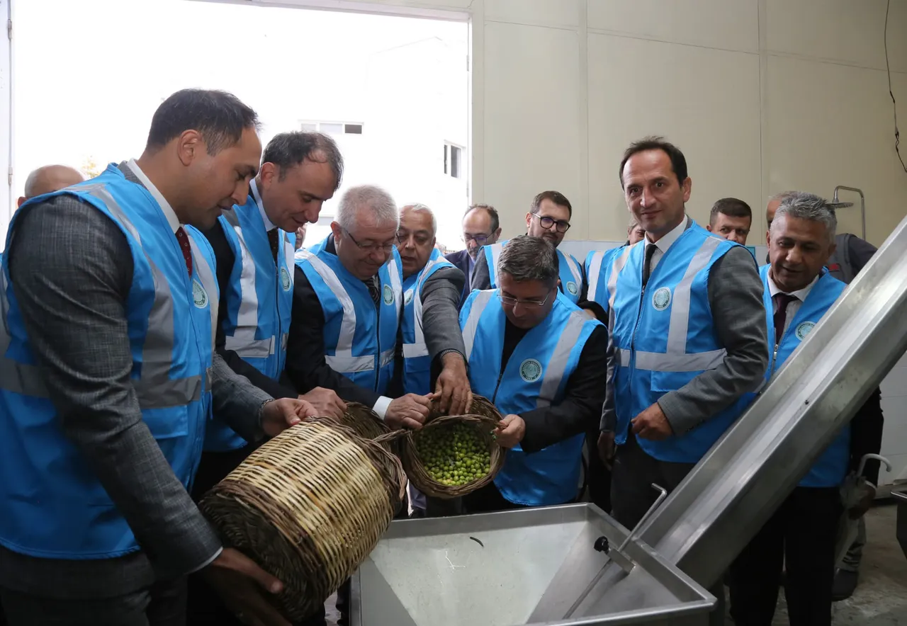 Balıkesir Üniversitesinde I. Akademik Zeytin Hasat Şenliği düzenlendi