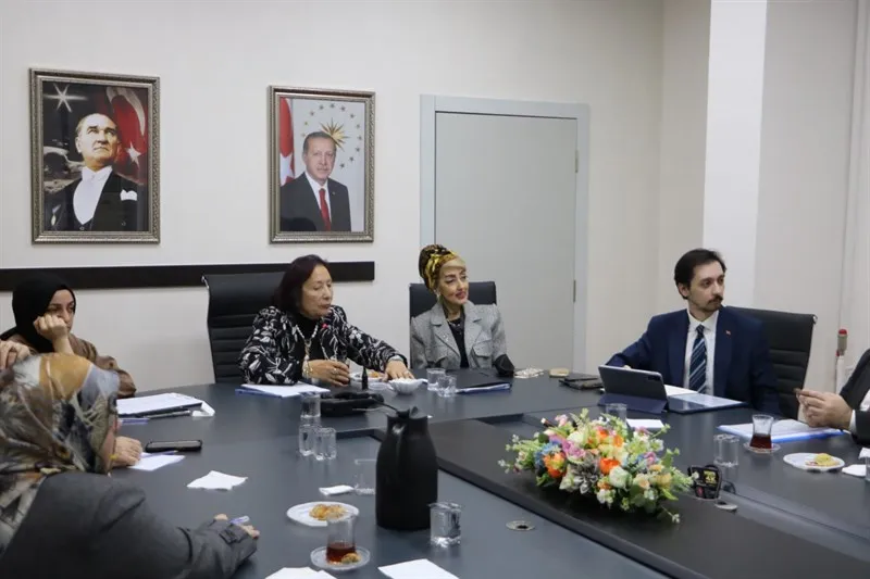 Karbonmonoksit zehirlenmelerinin önlenmesine yönelik koordinasyon toplantısı yapıldı
