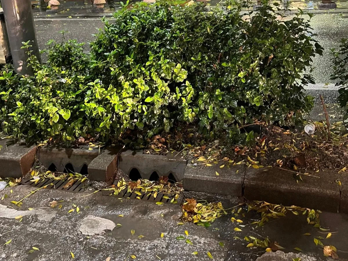 Meteoroloji uyardı, Batman Belediyesi önlemlerini artırdı