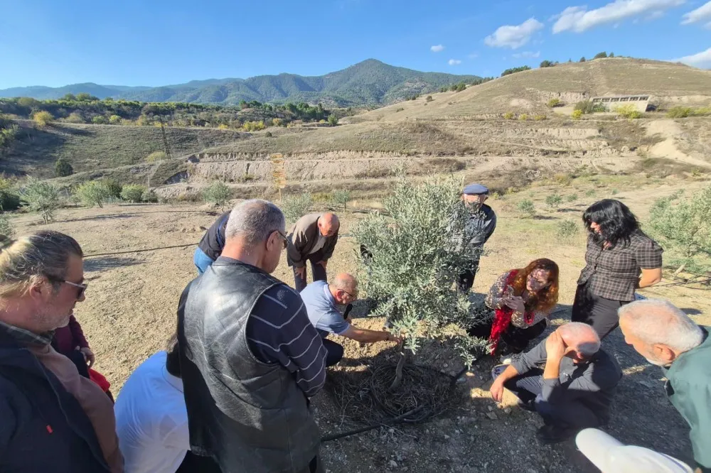 Eskişehir Büyükşehir Belediyesi: Büyükşehirden zeytin üreticilerine uygulamalı eğitim