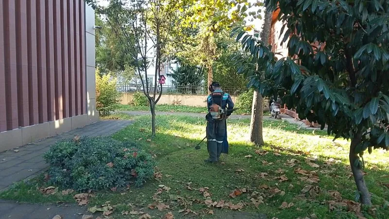 Fatsa’nın dört bir yanında yeşil alan bakım çalışmaları sürüyor