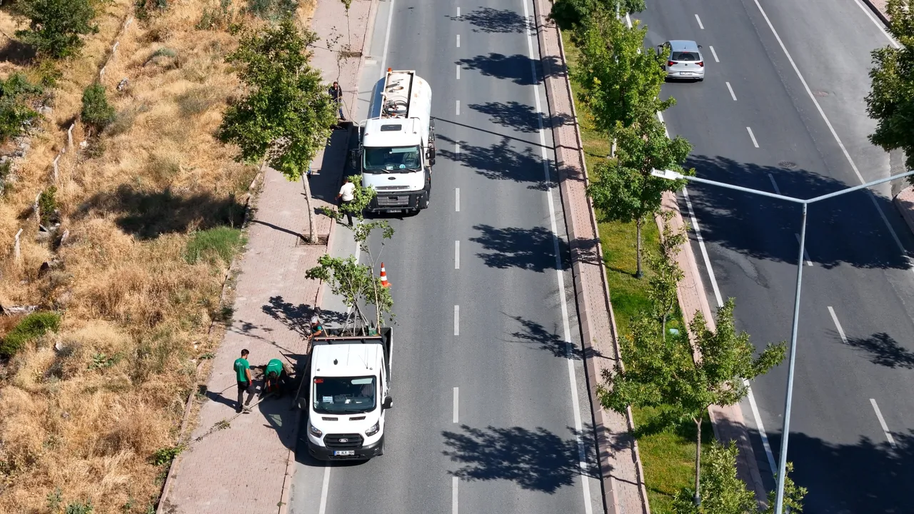 Büyükşehir, ömrünü tamamlayan ağaçların yerine yenileri dikiyor